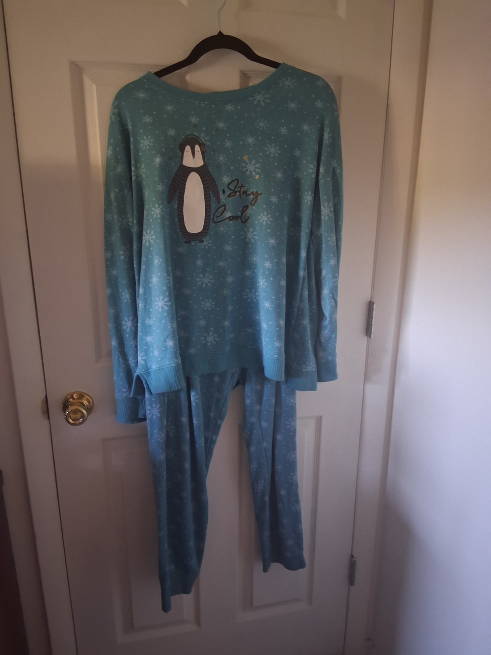 Secret Treasures Teal Penguin Snowflake Pajama Set